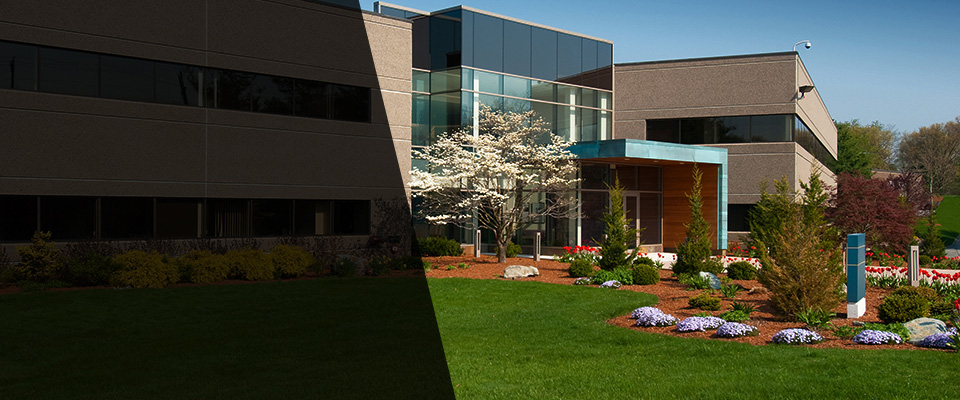 Ridgefield Park Landscapers