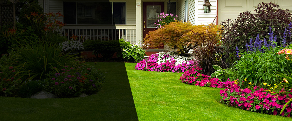 Ridgefield Park Landscapers