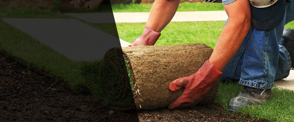 Ridgefield Park Landscapers